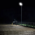 Eclipse horse arena lighting